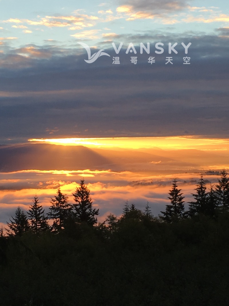 250803124920_IMG_5910 1.JPG